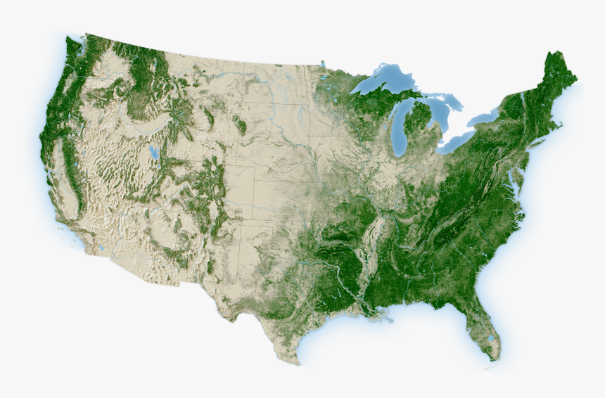 Tree Canopy Map Of Us - E Pass Xtra, HD Png Download, Free Download