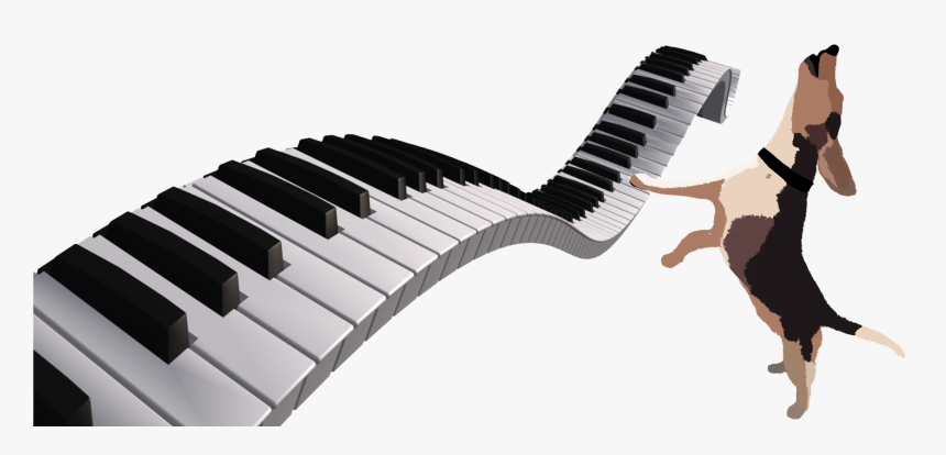 Transparent Piano Keyboard Png - Piano Keyboard, Png Download, Free Download