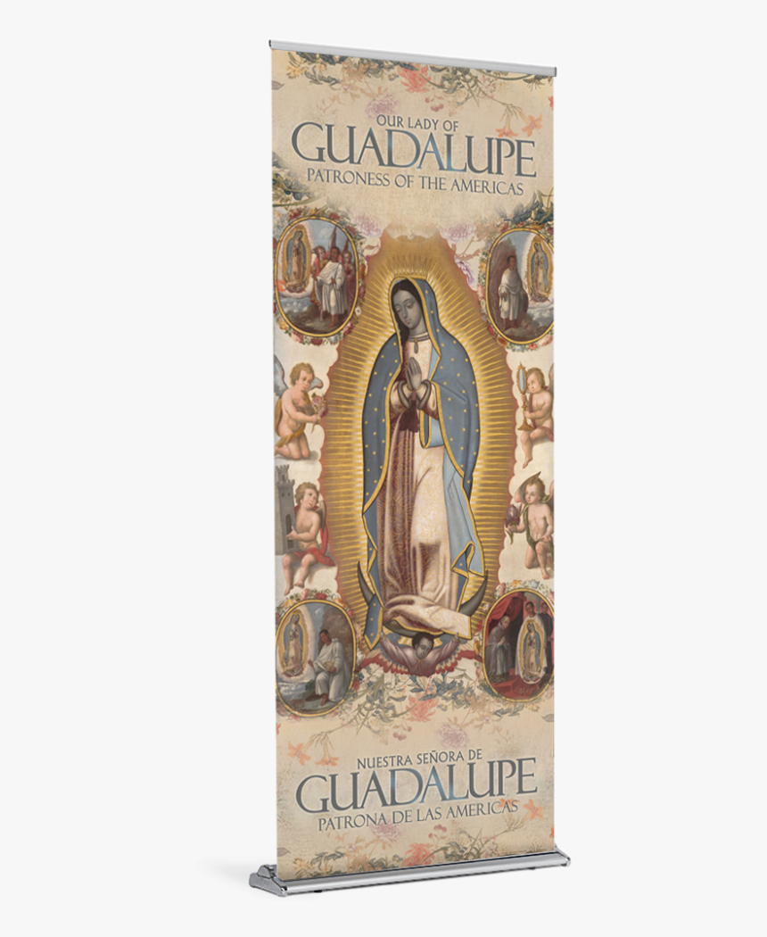 Virgen De Guadalupe Snake , Transparent Cartoons - Virgin Of Guadalupe, HD Png Download, Free Download