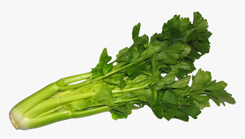 Celery Png Image - Celery Png, Transparent Png, Free Download