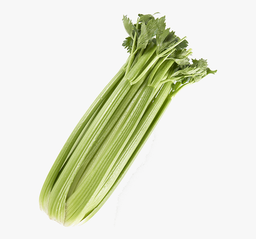 Download Celery Png Transparent Picture - Celery Clipart Png, Png Download, Free Download