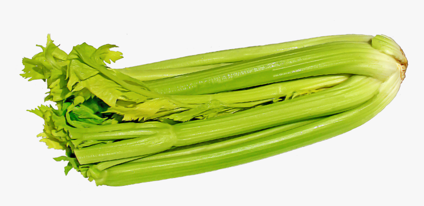 Celery Transparent Background, HD Png Download, Free Download