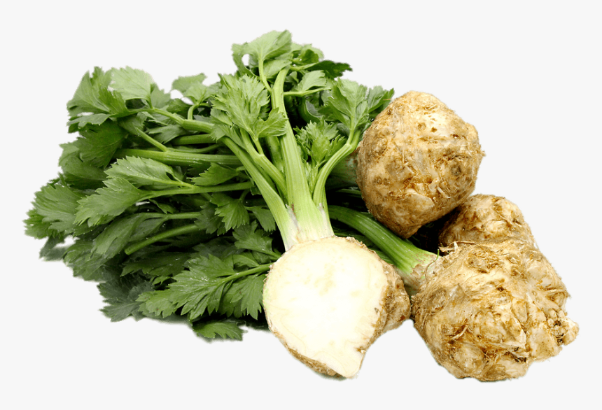 Celery Root - Celery Root Png, Transparent Png, Free Download
