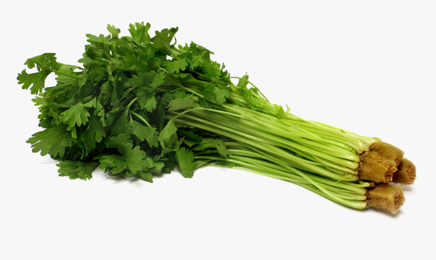 Download Celery Png Pic - Celery Png, Transparent Png, Free Download