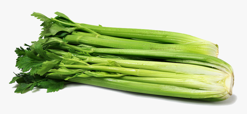 Download Celery Png Clipart - Clipart Celery Png, Transparent Png, Free Download