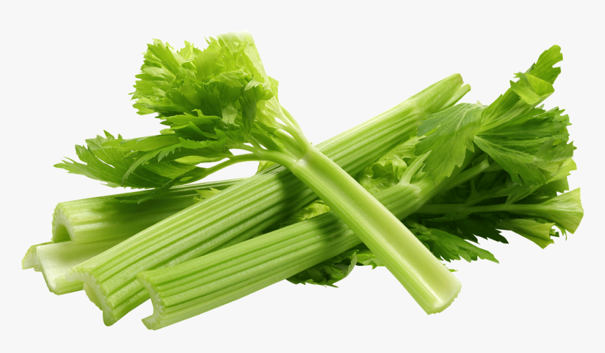 Fresh Celery, HD Png Download, Free Download