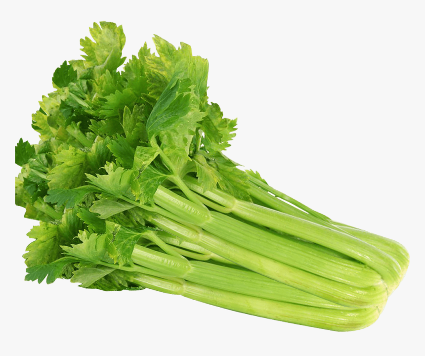 Celery Png Image - Chicory, Transparent Png, Free Download