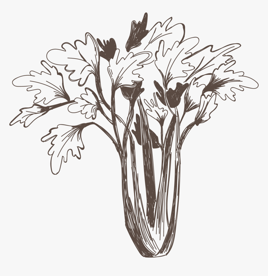 Transparent Celery Png - Bouquet, Png Download, Free Download