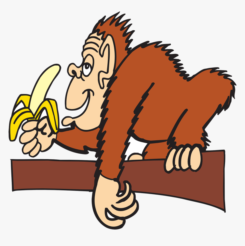 Monkey Eating Banana Cartoons, HD Png Download, Free Download