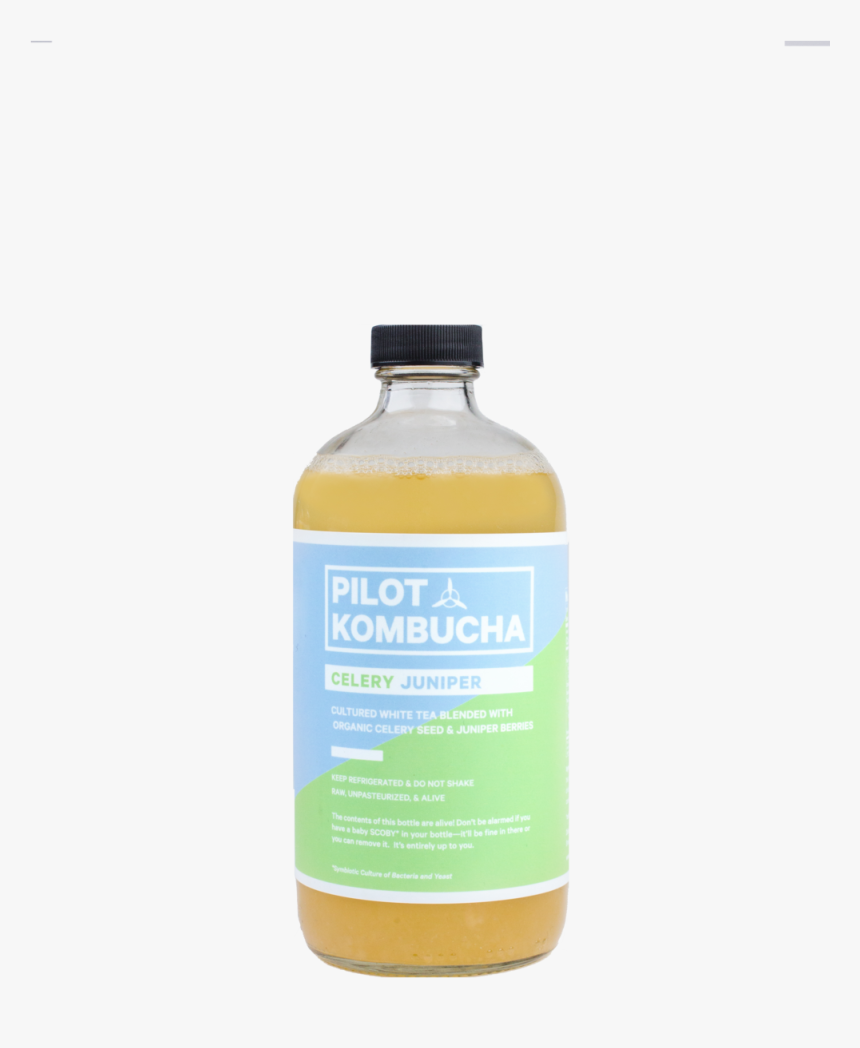 20181214 Pilot Kombucha 04, HD Png Download, Free Download