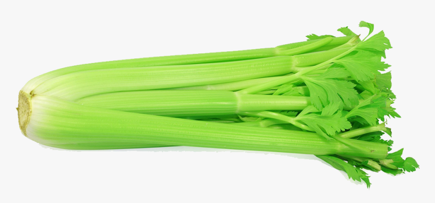Organic-celery - Celery Leaves In Telugu, HD Png Download, Free Download