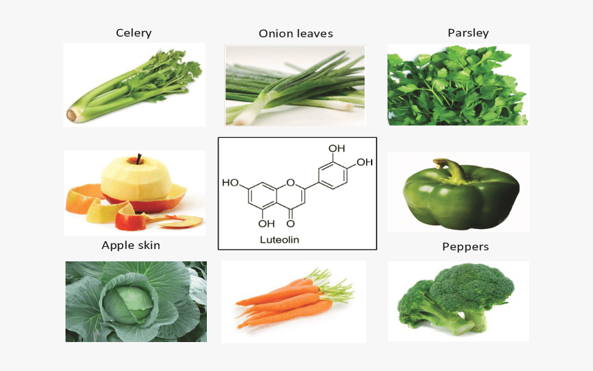 Sources And Structure Of Luteolin - Carrot, HD Png Download, Free Download