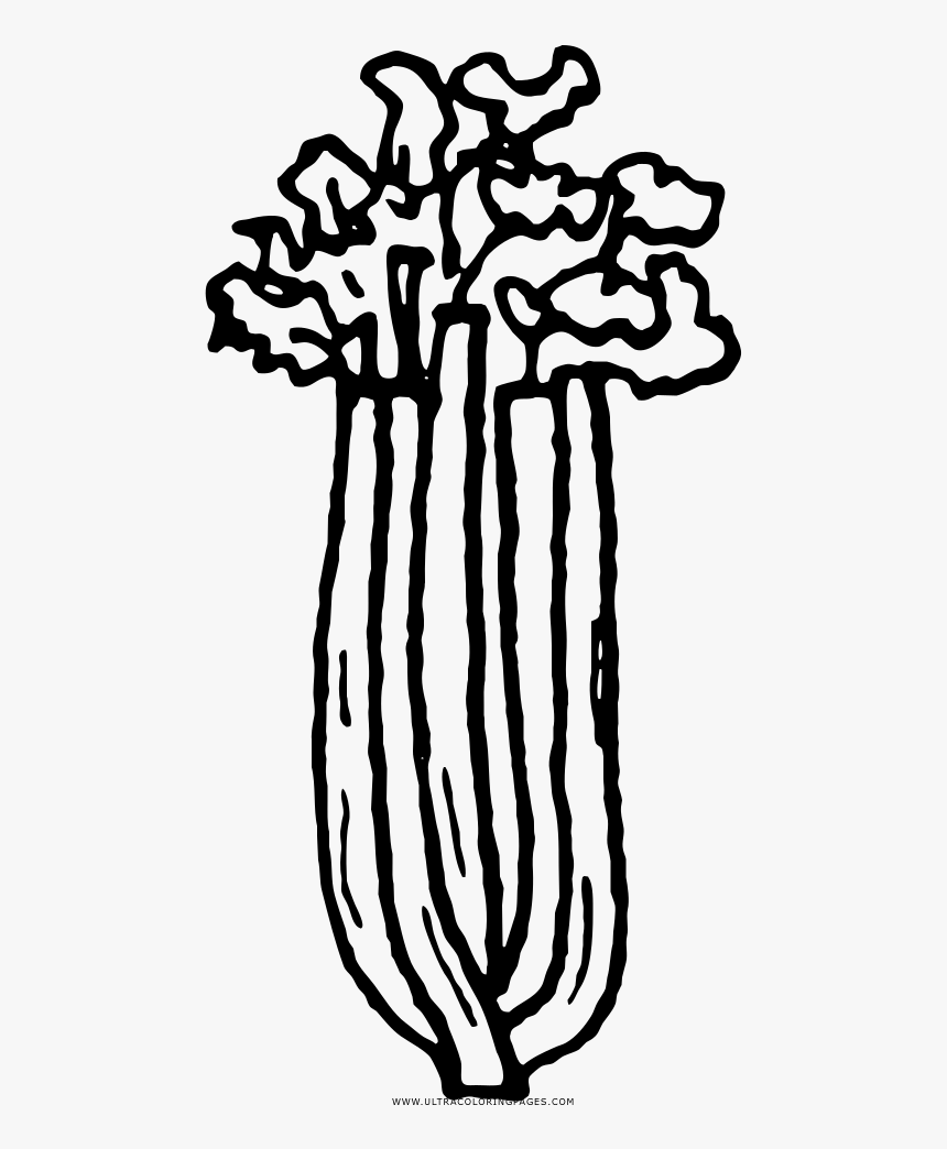 Celery Coloring Page - Dibujo Para Pintar Apio, HD Png Download, Free Download