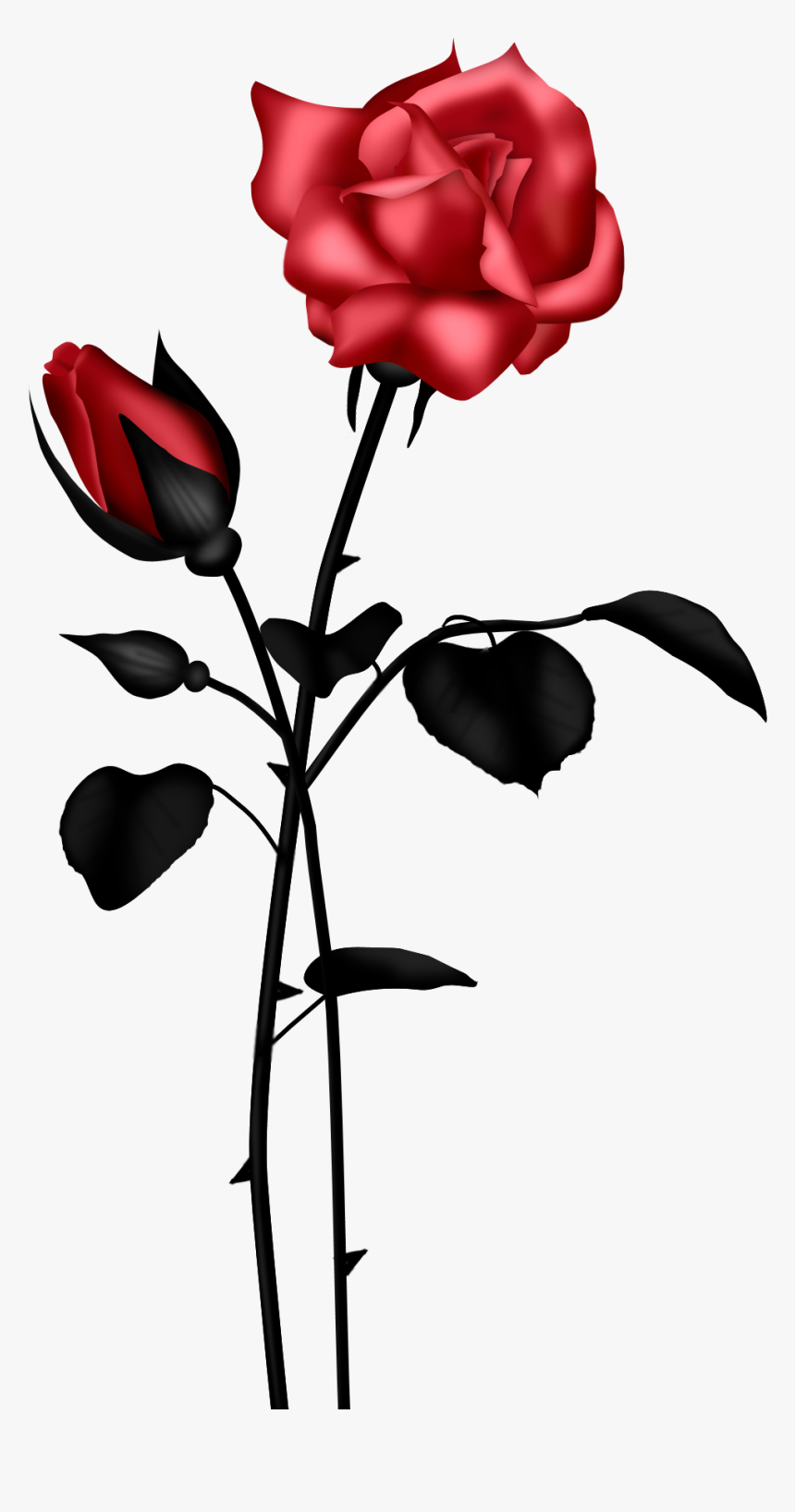 Rose Red Flower Clip Art Vector Online Royalty Free - Dark Red Frame Png, Transparent Png, Free Download