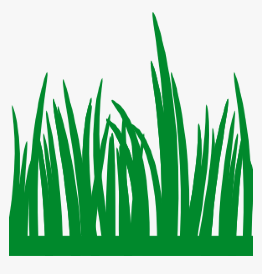 Grass Vector Png Transparent Image , Png Download, Png Download, Free Download