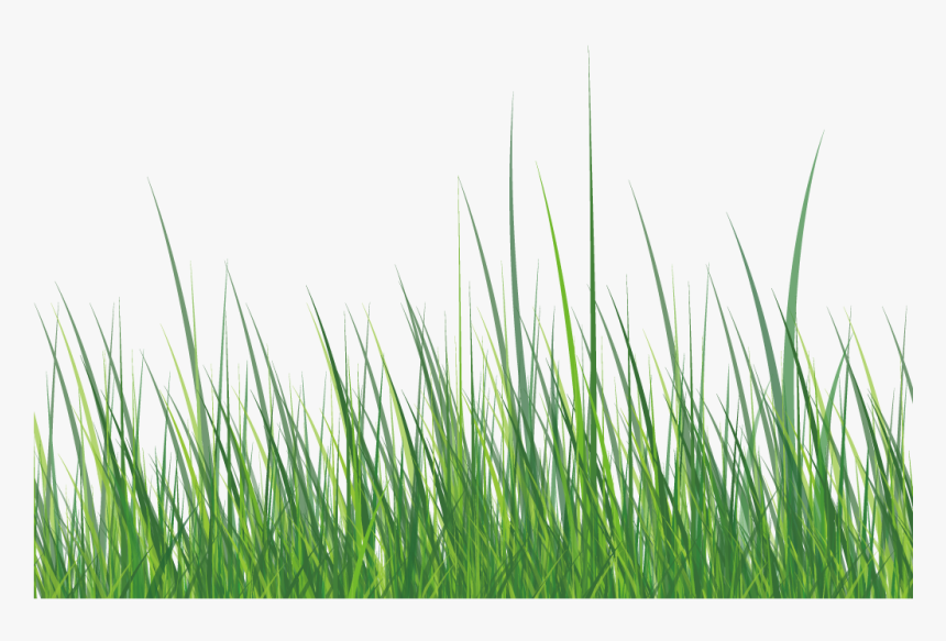 This Graphics Is Green Grass About Grass,roadside,ai,vector - Grass Vector, HD Png Download, Free Download