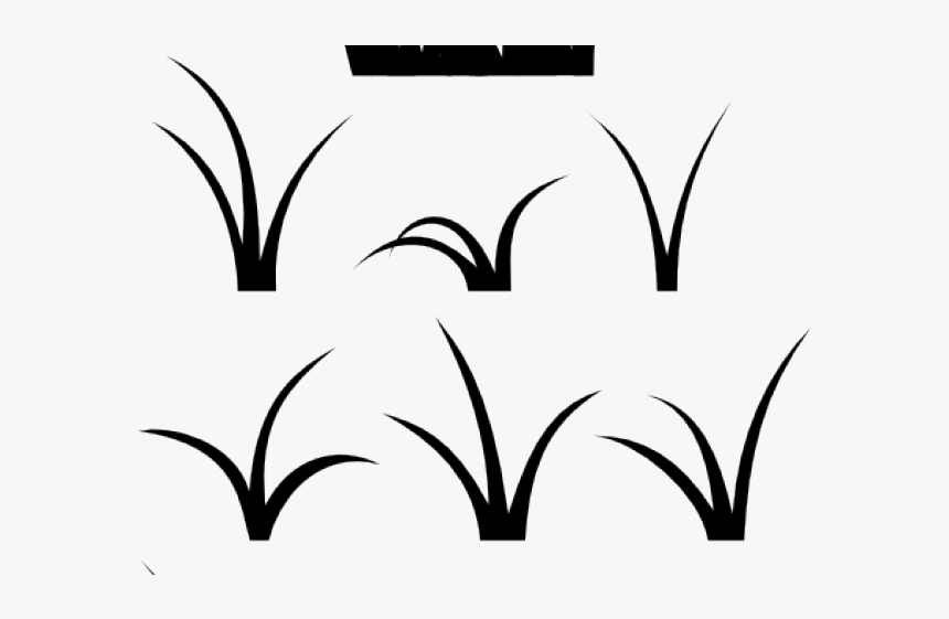 Drawn Grass Vector Cartoon - Clipart Patch Of Grass, HD Png Download, Free Download