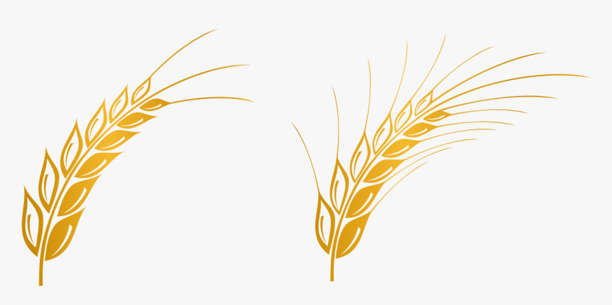 Euclidean Vector Gratis Computer File - Wheat Logo Vector Png, Transparent Png, Free Download