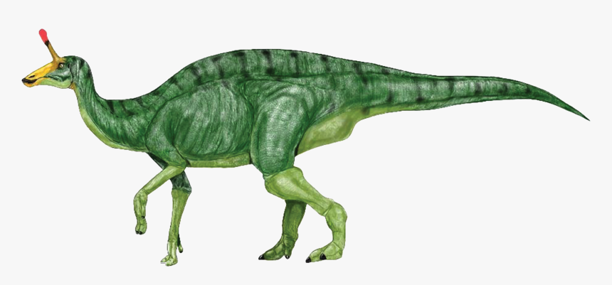 Green Dinosaur Clipart Image - Realistic Dinosaur Clipart, HD Png Download, Free Download