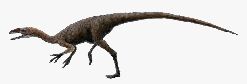 Dinosaur Free To Use Cliparts - Realistic Dinosaur Clipart, HD Png Download, Free Download