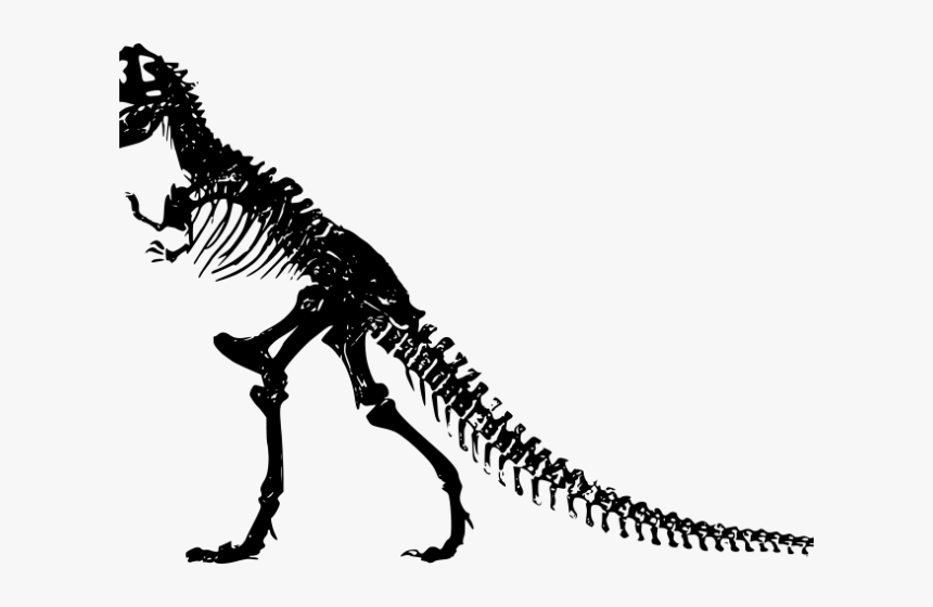 Dinosaurs Clipart Dinosaur Bone - Dinosaur Skeleton Png, Transparent Png, Free Download