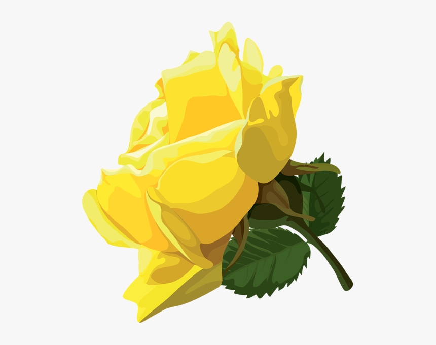 Clip Art Yellow Rose Png, Transparent Png, Free Download