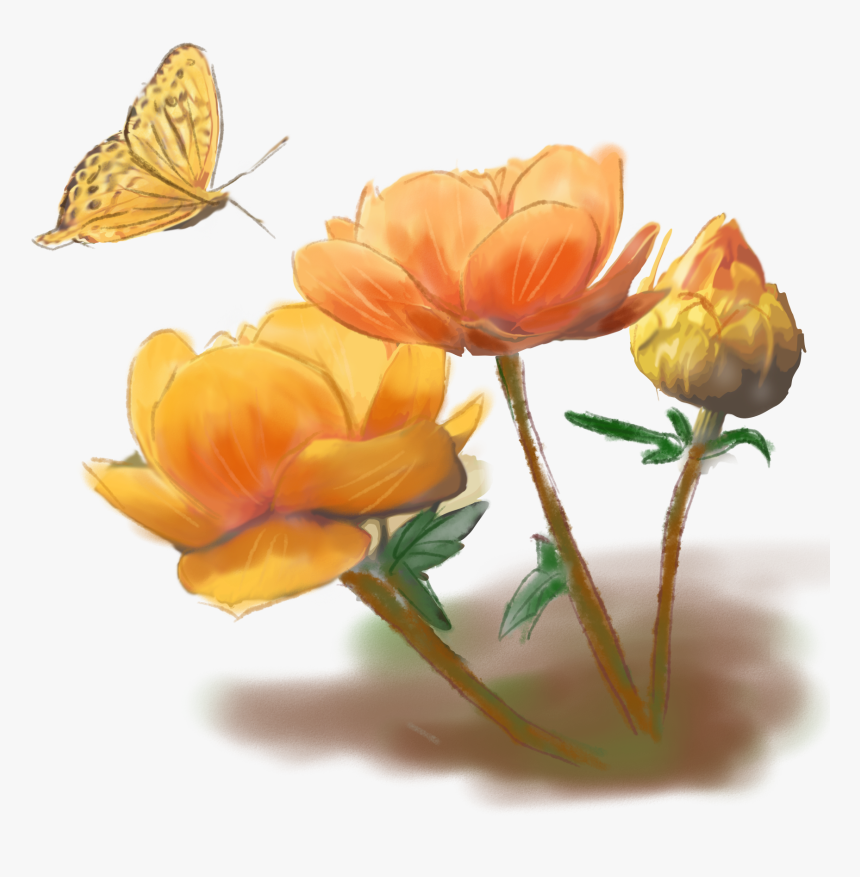 Original Hand Drawn Yellow Flower Png And Psd - Rose, Transparent Png, Free Download
