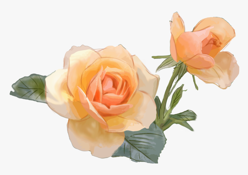 Transparent Rose Flowers Png - Flowers Png Hd Psd, Png Download, Free Download