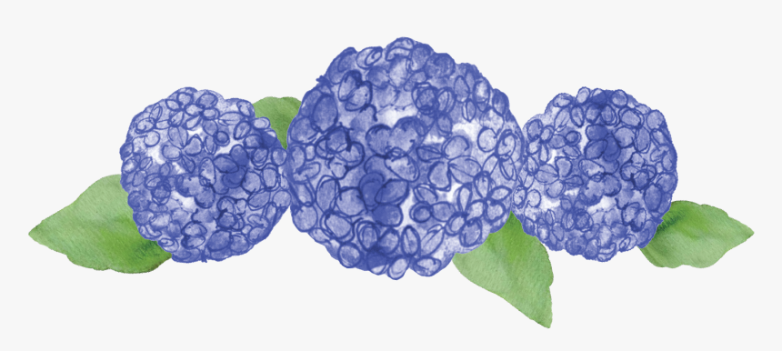 Hydrangea Serrata, HD Png Download, Free Download