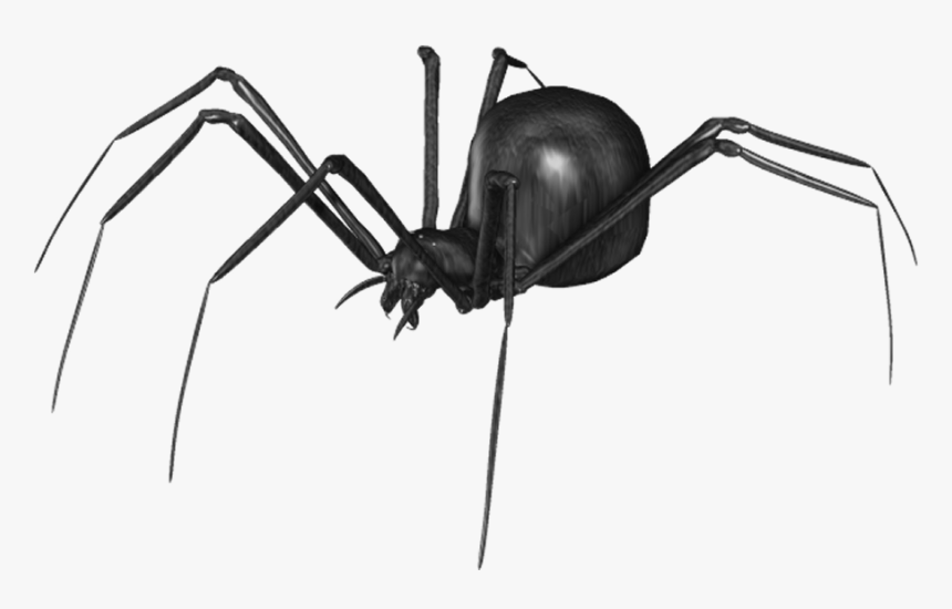 Spider Png Clip Art - Spider Gif Transparent Background, Png Download, Free Download