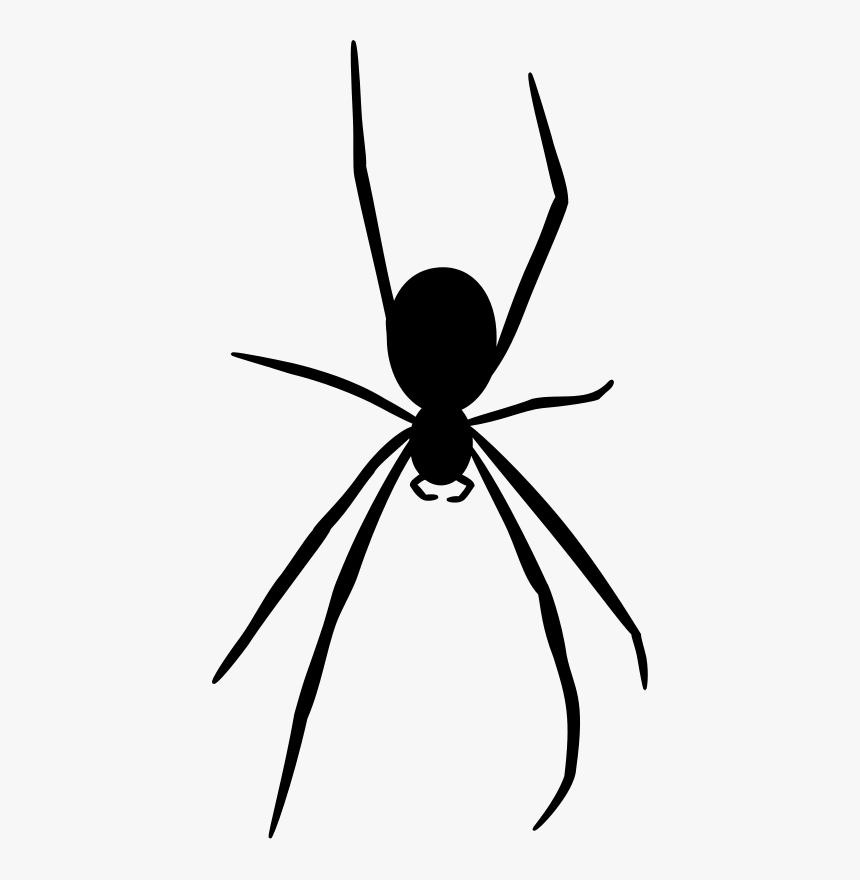 Spider Silhouette - Black Spider Transparent Background, HD Png Download, Free Download