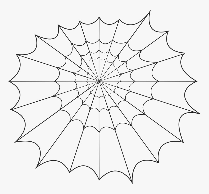 Spider Silk Spider Web Online Shopping - Spider, HD Png Download, Free Download