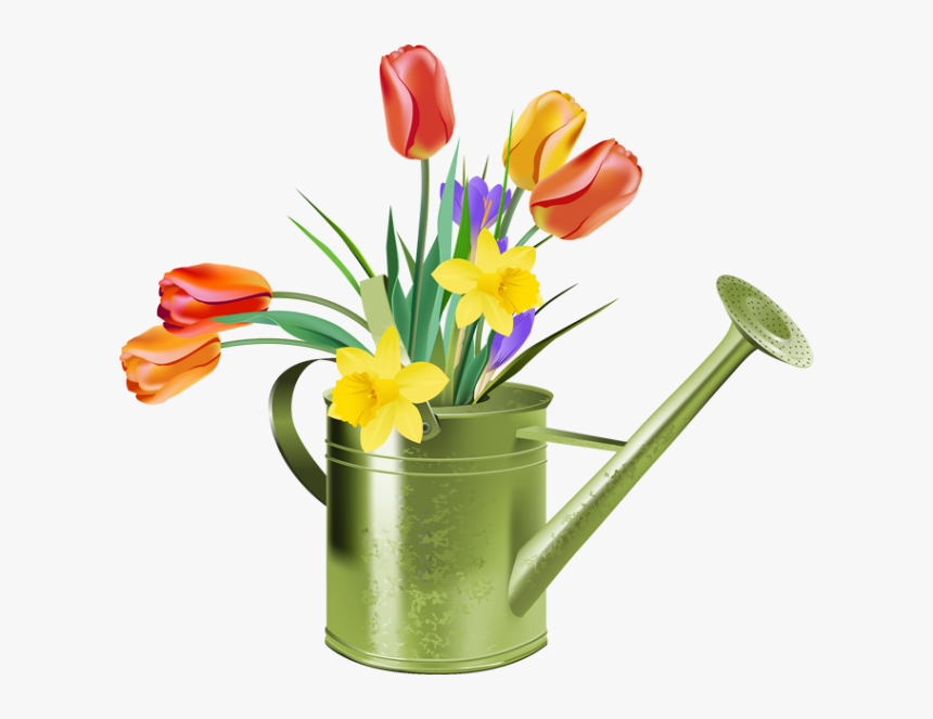 Daffodil Clipart Tulip - Watering Can Flowers Clipart, HD Png Download, Free Download