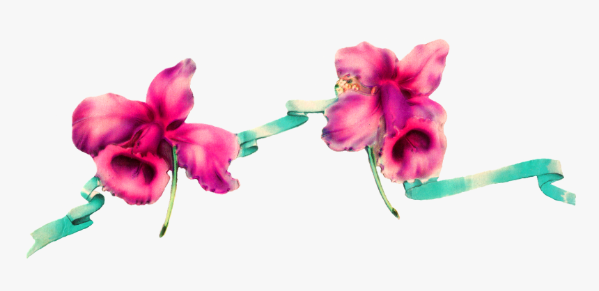 Border Digital Daffodil Download Image - Png Digital Flowers Designs, Transparent Png, Free Download