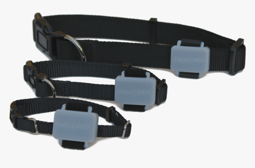 Transparent Dog Collar Png - Strap, Png Download, Free Download