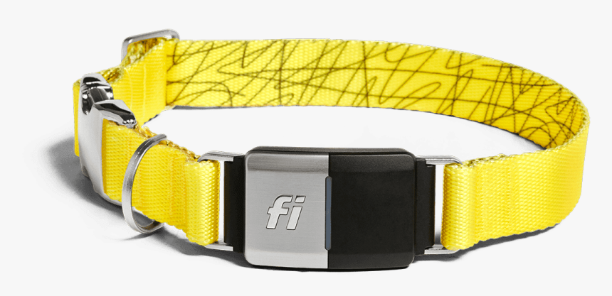 Fi Smart Dog Collar, HD Png Download, Free Download