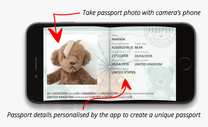 Teddy Bear Passport Template, HD Png Download, Free Download