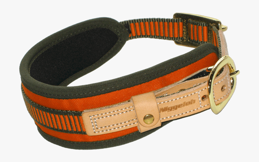 Blood Tracking Collar - Collar, HD Png Download, Free Download