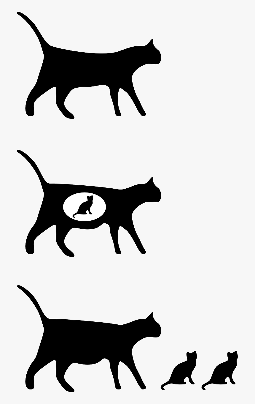 Cats Black And White Draw, HD Png Download, Free Download