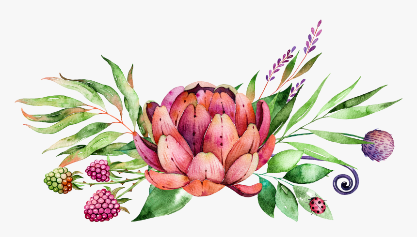Jpg Library Painting Flower Succulent Plants Transprent - Protea Flower Clip Art, HD Png Download, Free Download