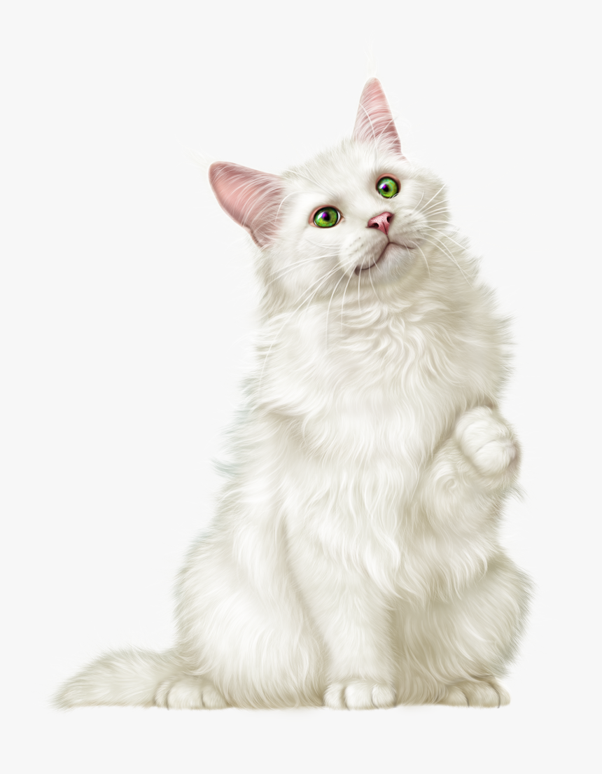 Kittens Clipart Ragdoll Cat, HD Png Download, Free Download