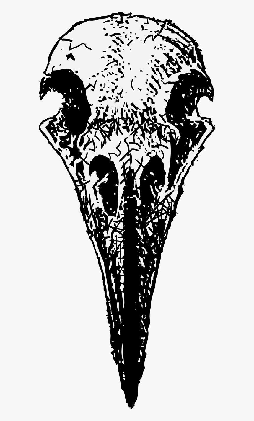 Skulls Transparent Raven - Transparent Crow Skull Png, Png Download, Free Download