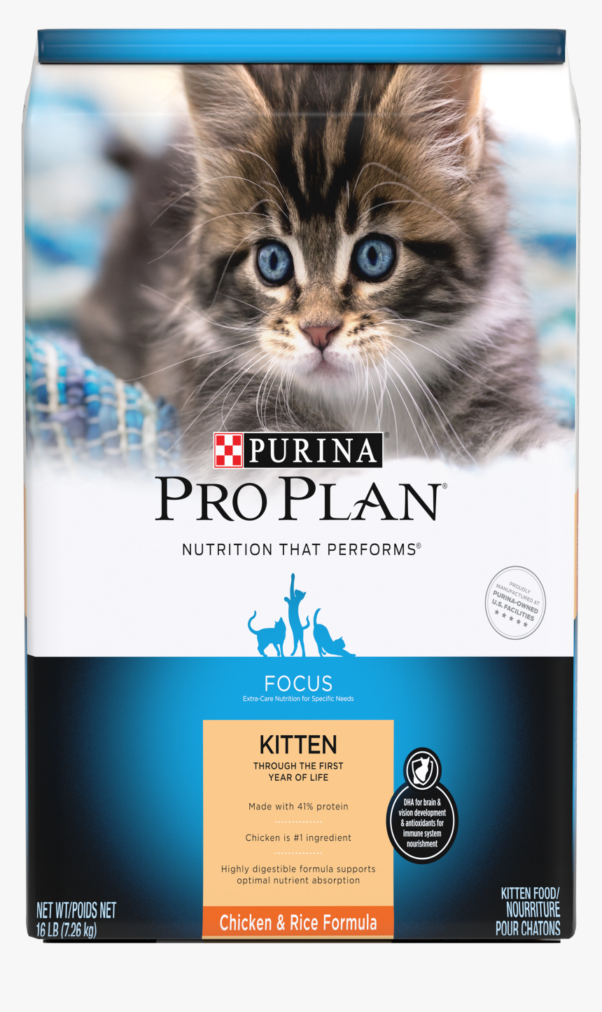 Kittens Png, Transparent Png, Free Download