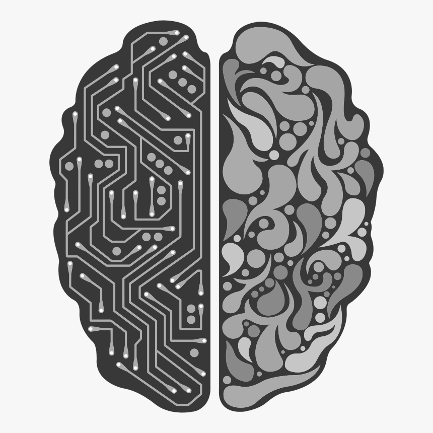 Left And Right Brain Png, Transparent Png, Free Download