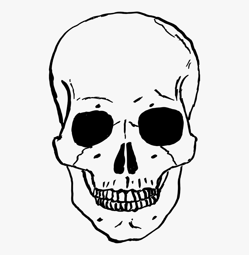 Cartoon Skull Png - Skeleton Face Clipart, Transparent Png, Free Download