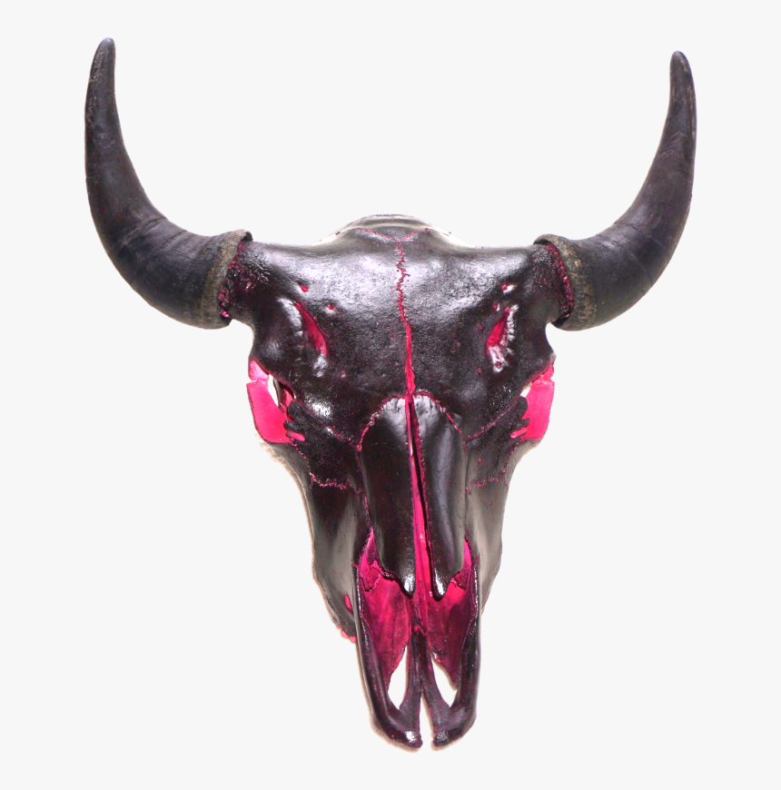 Black Bison Skull - Bull, HD Png Download, Free Download