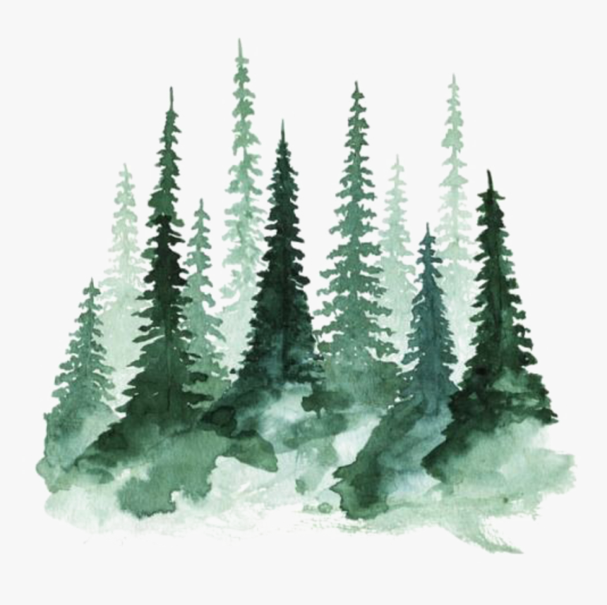 Ftestickers Watercolor Trees Pinetrees Forest - Alpha Xi Delta Background, HD Png Download, Free Download