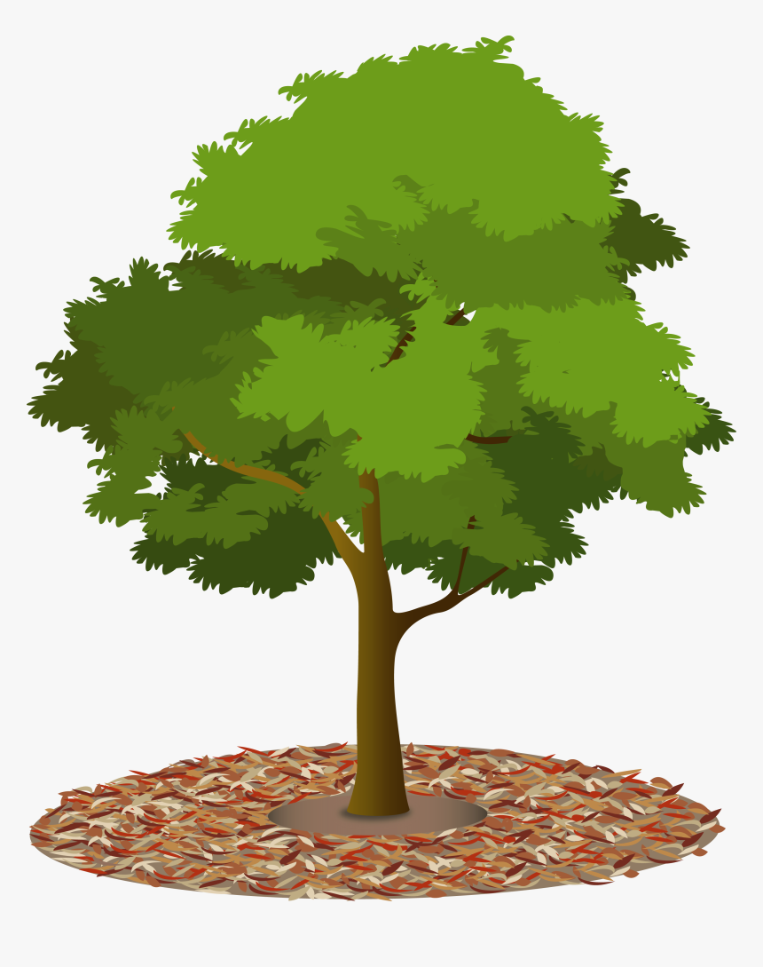 Tree With Mulch Clipart, HD Png Download, Free Download