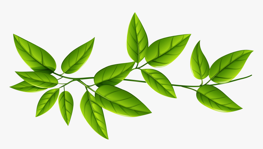 Transparent Leaves Png, Png Download, Free Download