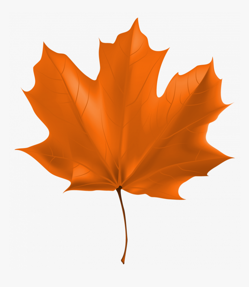Autumn Leaf Clipart Png , Png Download - Clipart Autumn Leaf Png, Transparent Png, Free Download